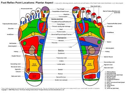 Foot_Chart_Plantar_COLsml.jpg