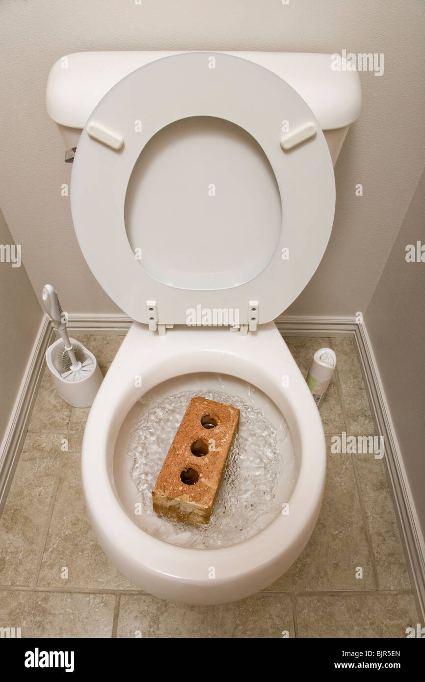 brick-in-a-toilet-BJR5EN.jpg