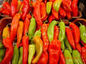 colored%20peppers.jpg