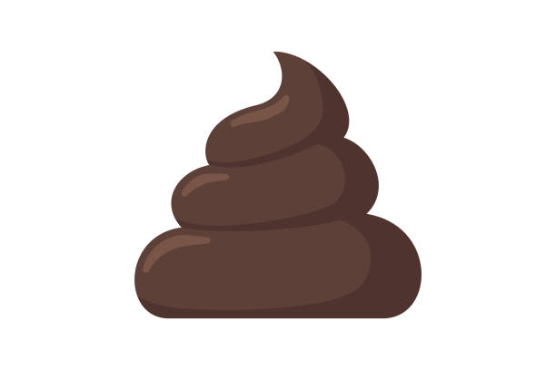 brown-piece-of-shit-cartoon-poop-icon-feces-vector-emblem-illustration.jpg