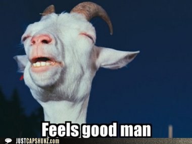 animals-feels-good-feels-good-man-goat-high-stoned-whoa-5617682432