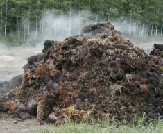 steaming-pile-of-manure.jpg