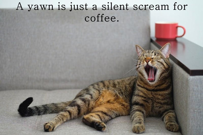 a-yawn-is-just-a-silent-scream-for-coffee