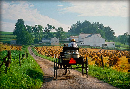 amish6.jpg