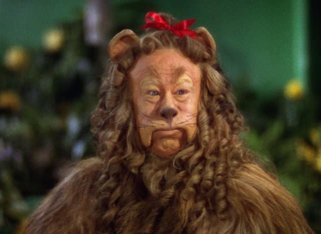 cowardly-lion.jpg