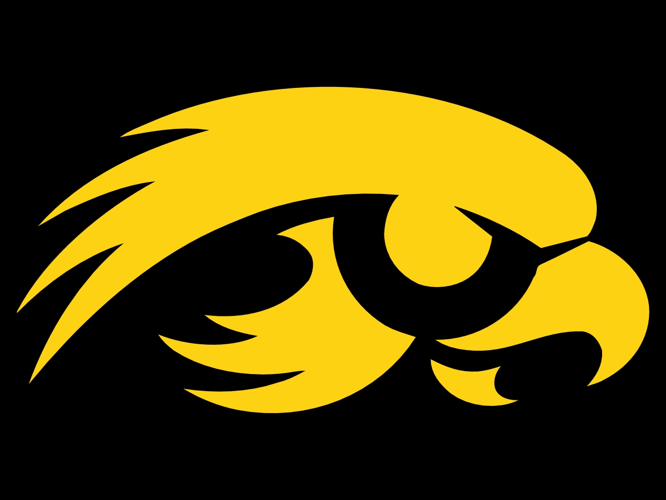 Iowa_Hawkeyes10.jpg