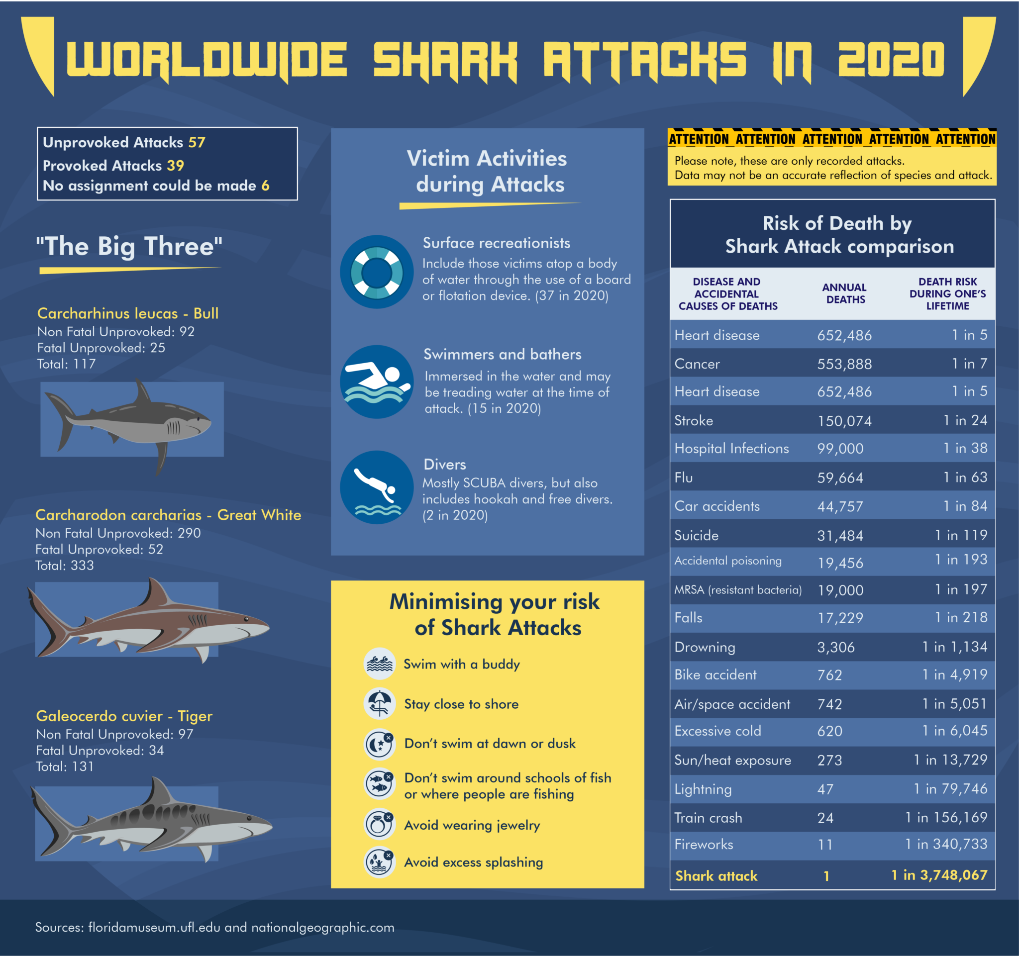 1608102321ID-2388-Why-you-Shouldnt-be-Afraid-of-Shark-Attacks-2048x1922.png