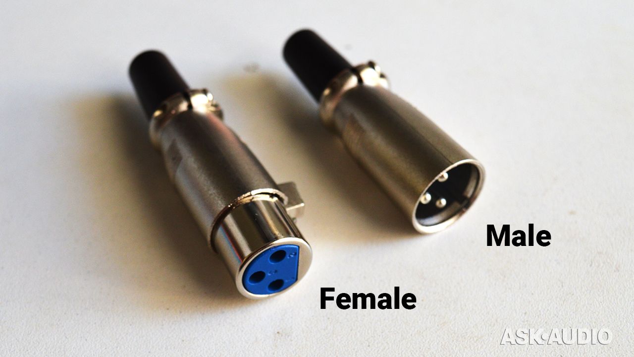 female-male-xlr.jpg