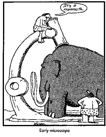 FarSideMicroscope.gif.jpg