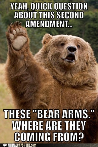 bear-arms3.jpg