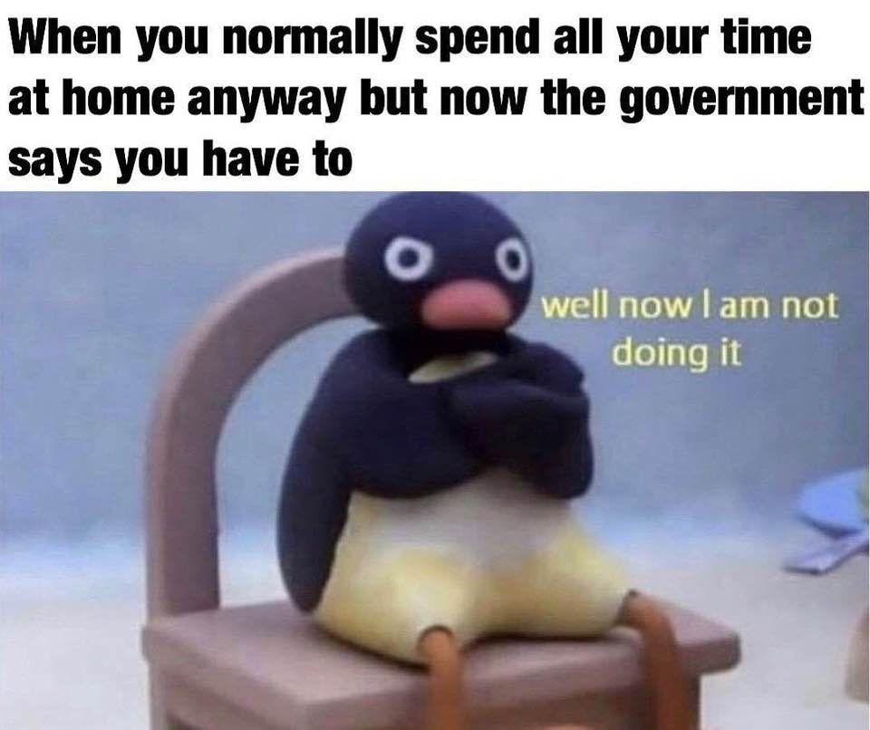 penguin.jpg