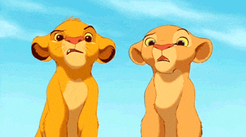confused the lion king GIF