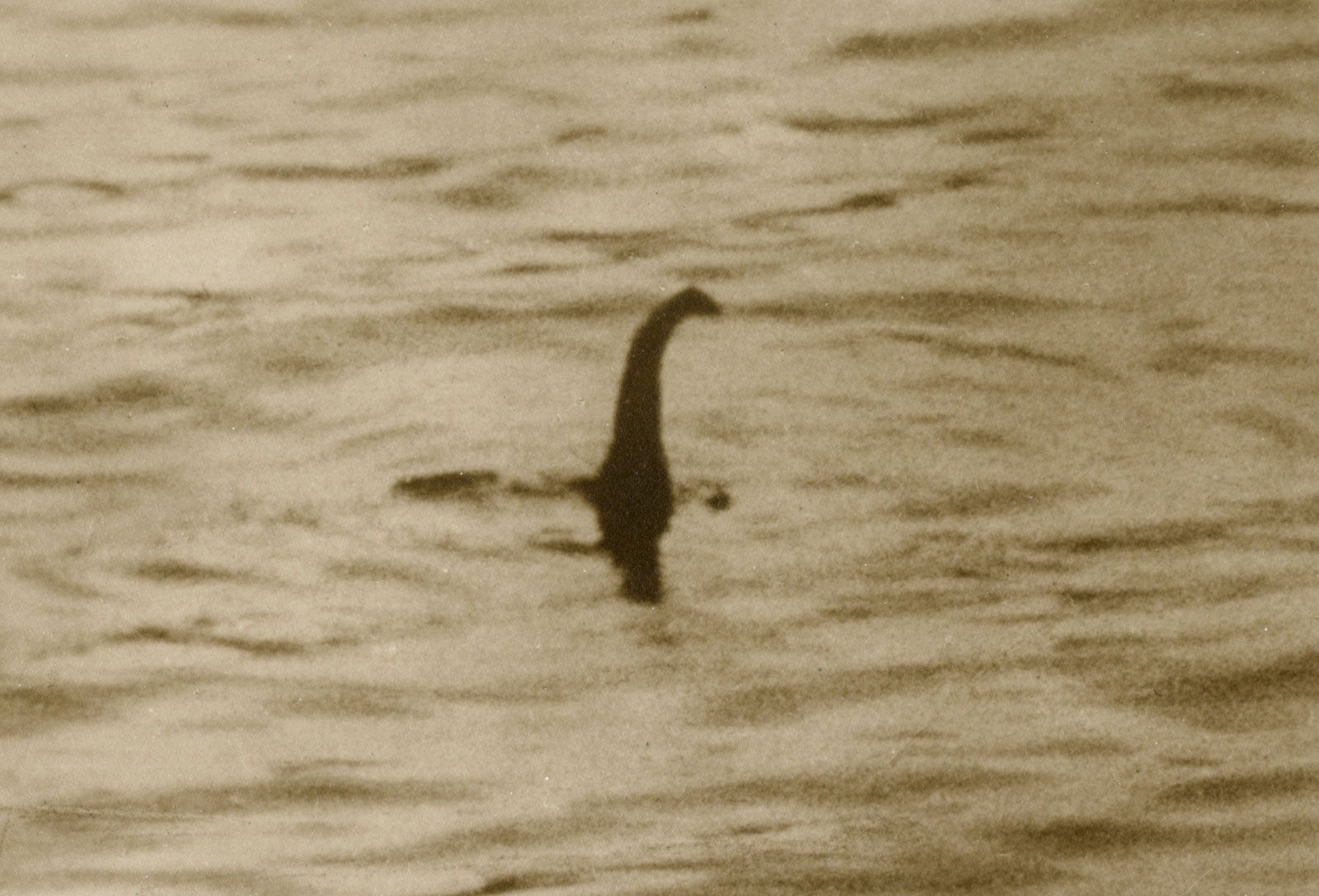 Photograph-image-Loch-Ness-monster-surgeon-hoax-1934.jpg
