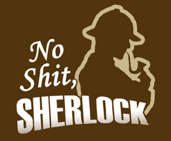 no_shit_sherlock.jpg