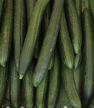 cucumbers_300.jpg