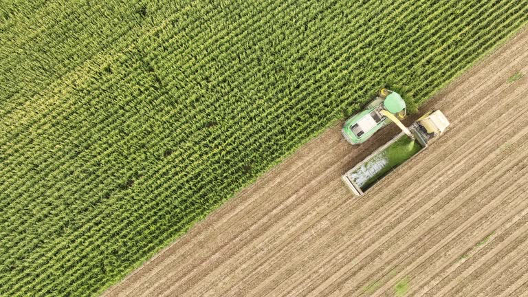 aerial-video-of-silage-corn-harvest.jpg