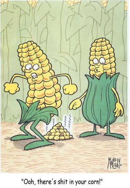 corn1.jpg