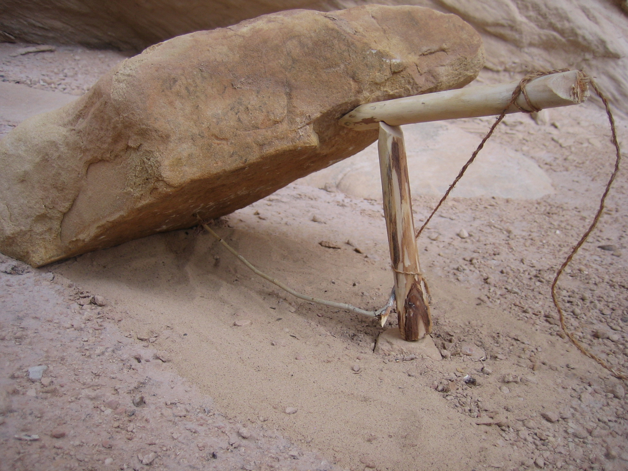 Paiute_Deadfall_Trap.JPG