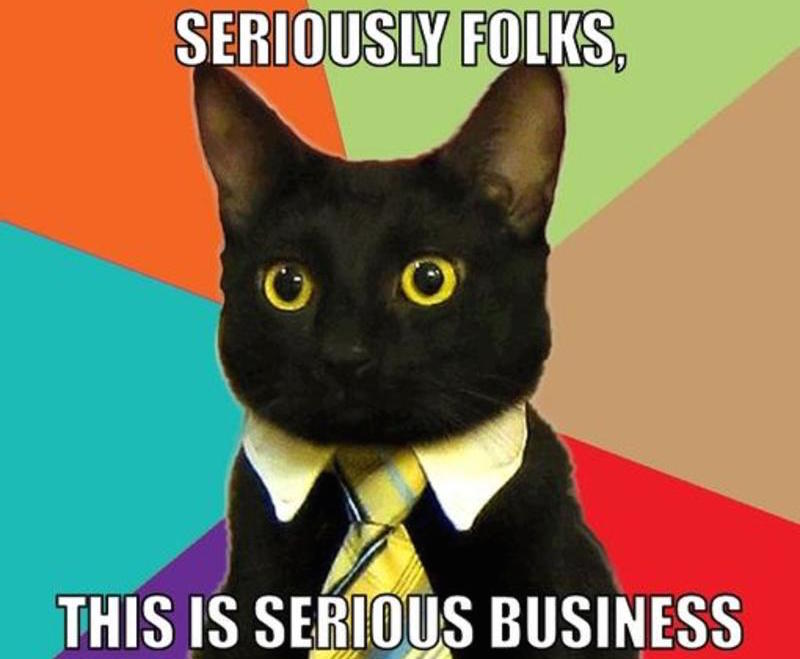resized_business-cat-meme-generator-seriously-folks-this-is-serious-business-d31d3d.jpg