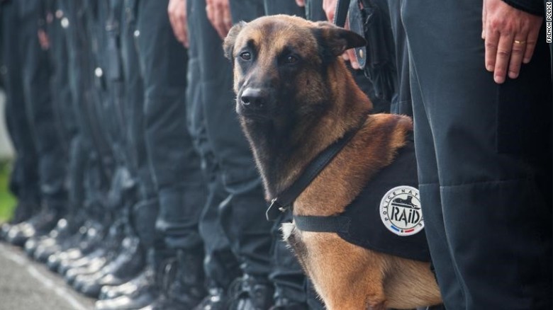 151118102116-police-dog-killed-paris-exlarge-169.jpg