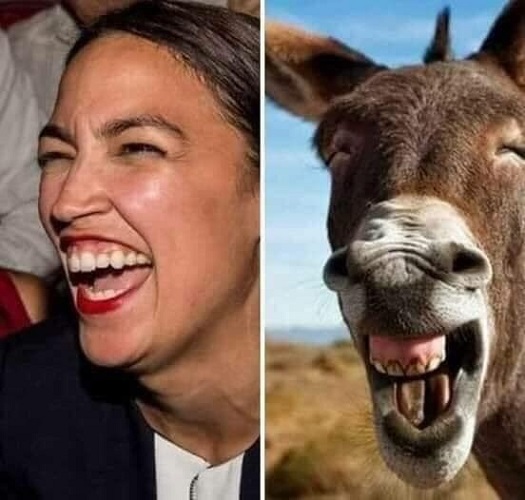 AOC%20donkey%20chompers%2001.jpg