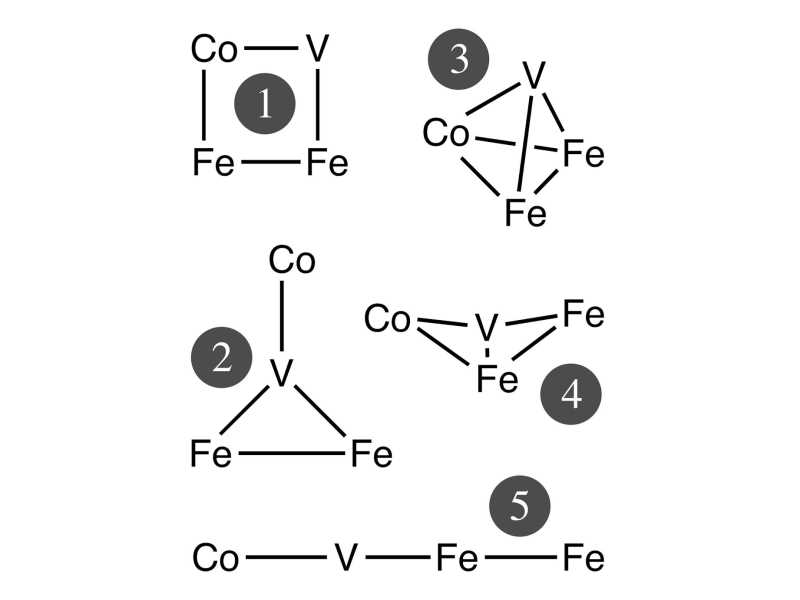 opcionsmoleculaweb1.jpg