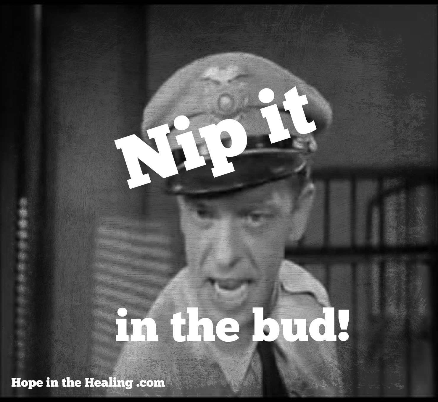 Nip-it-in-the-bud.jpg