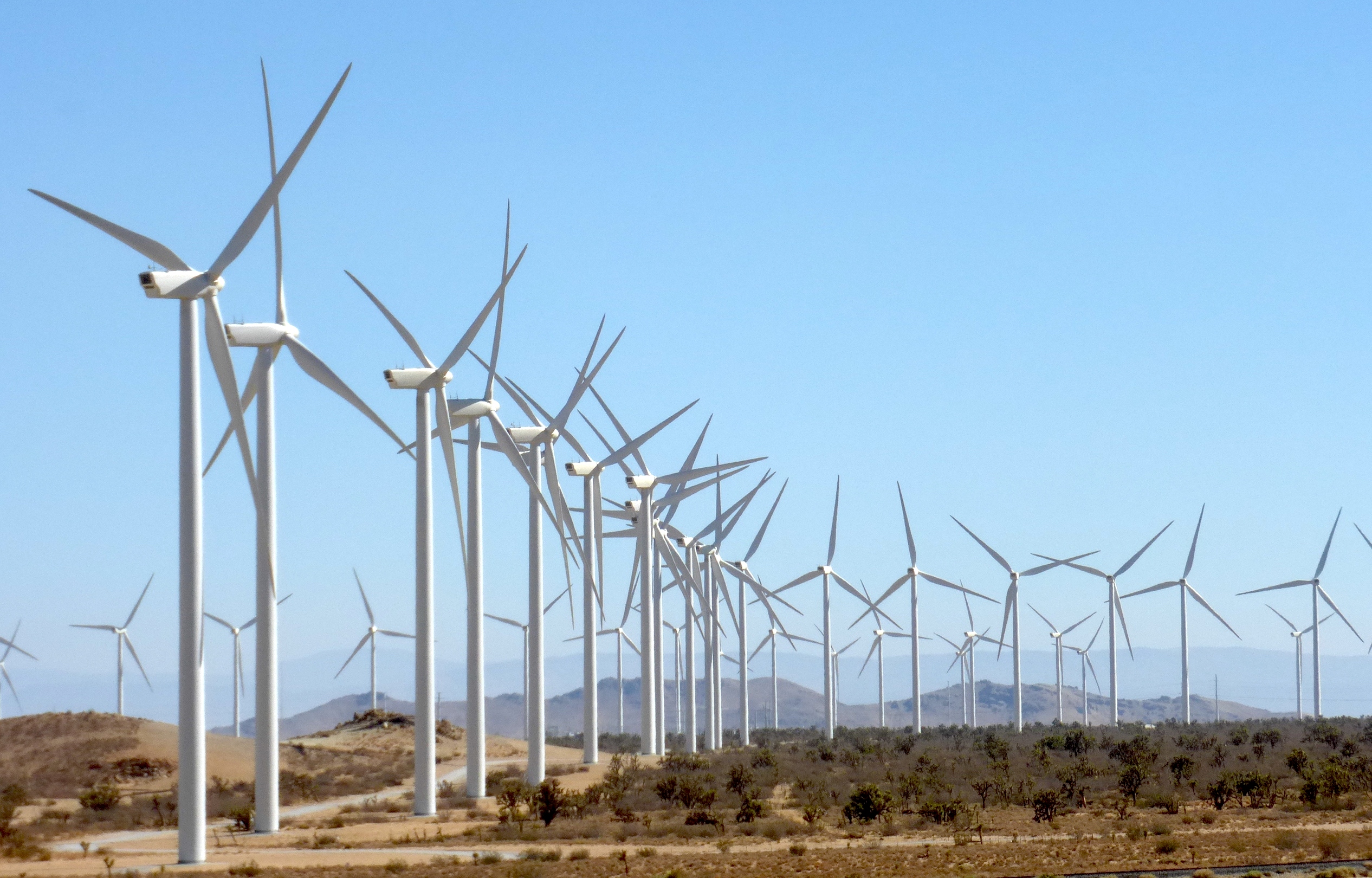 Alta_Wind_Energy_Center_from_Oak_Creek_Road.jpg