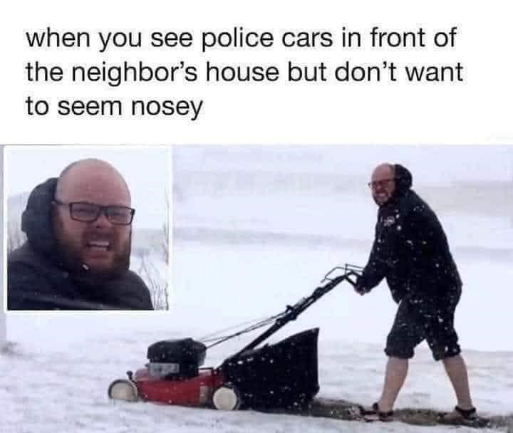 see-police-cars-front-neighbors-house-but-dont-want-seem-nosey