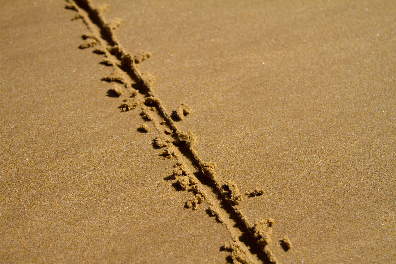 LineInSand.jpg