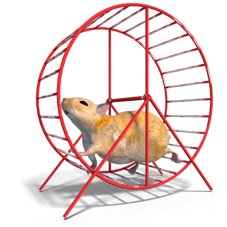 Hamster+wheel.jpg
