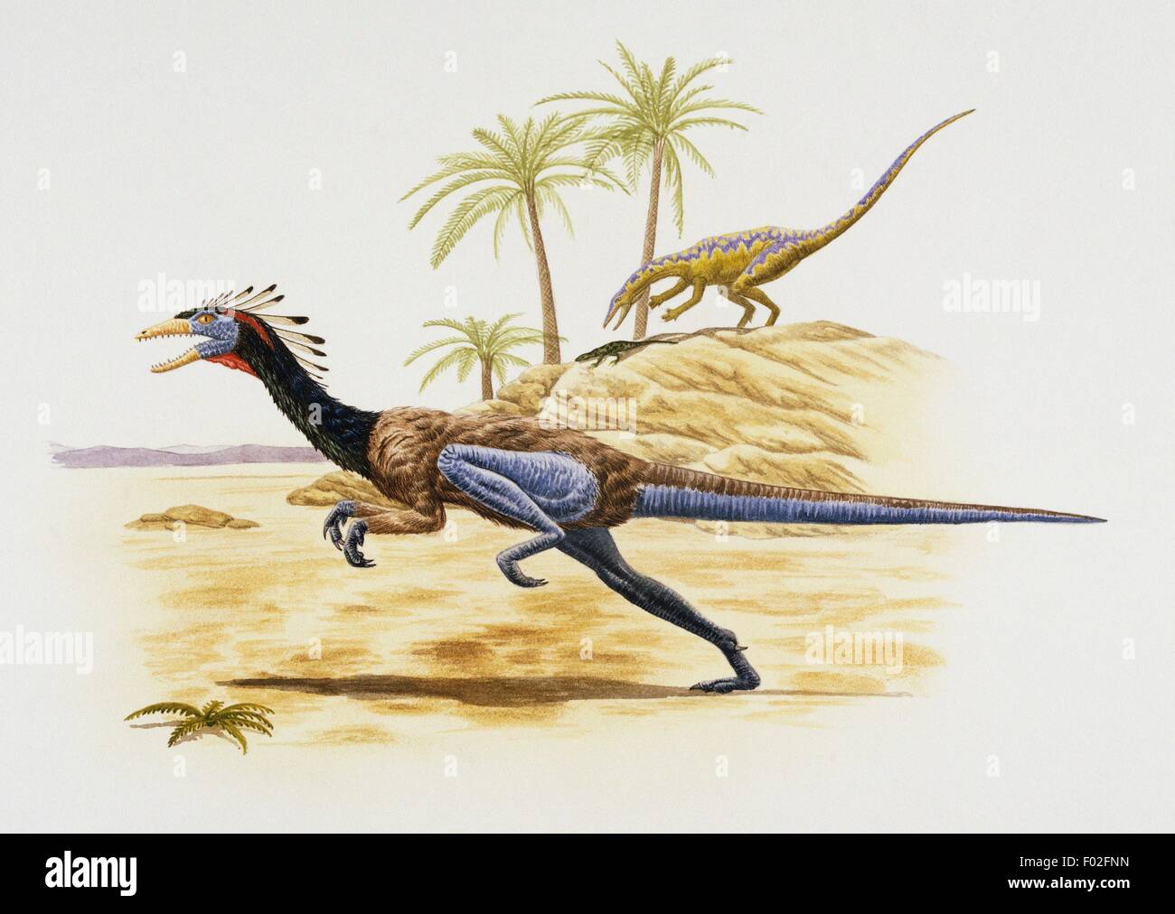 coelophysis-bauri-coelophysidae-late-triassic-some-scientist-belive-F02FNN.jpg