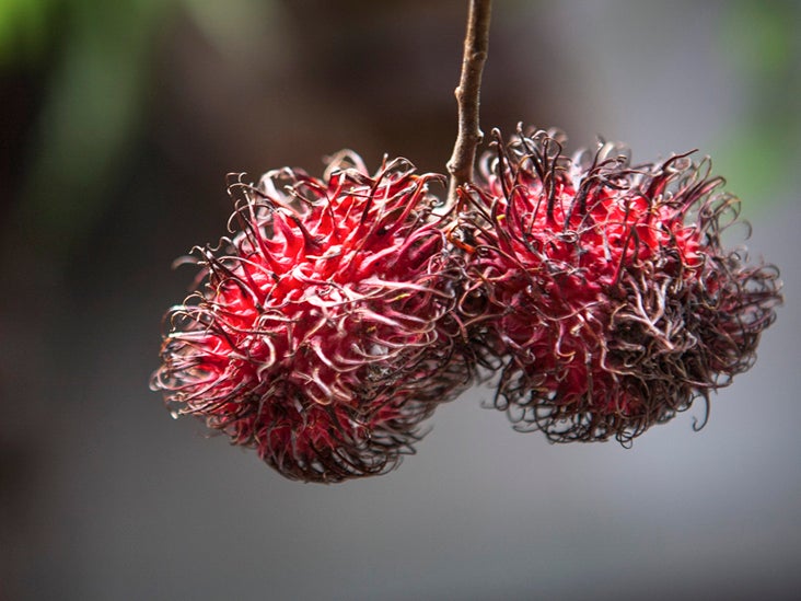 Rambutan_fruit_balls-732x549-thumbnail.jpg