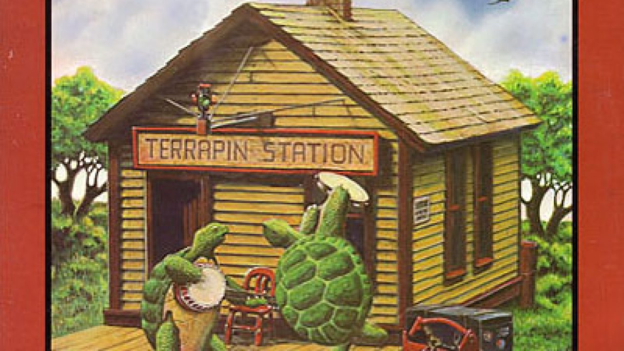 terrapin_hi-1280x720.jpg