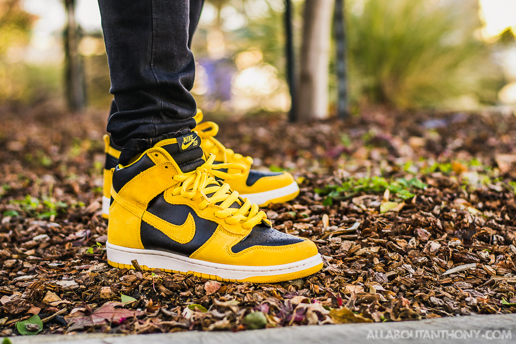 Nike-Dunk-High-SB-Iowa.jpg