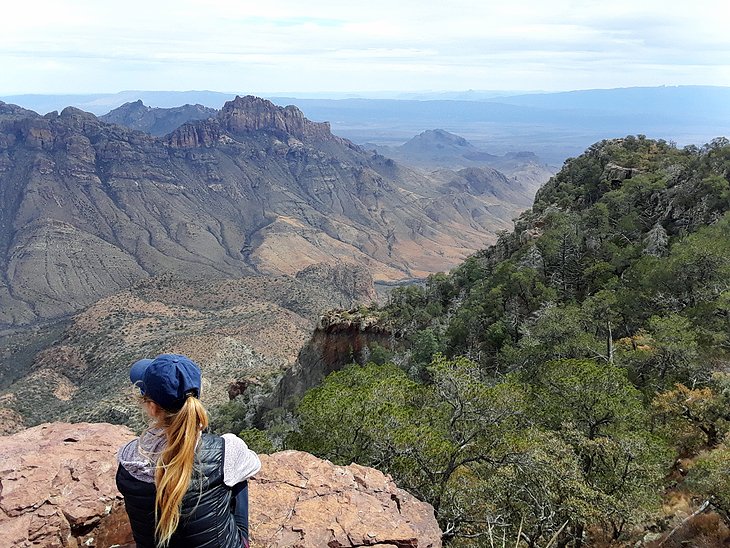 texas-big-bend-national-park-south-rim-trail.jpg