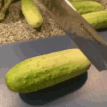 cucumber-pickle.gif