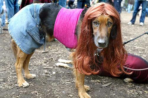 human-female-dog.jpg