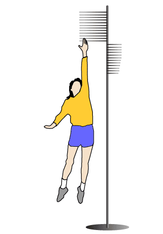 vertical-jump-vertec.gif