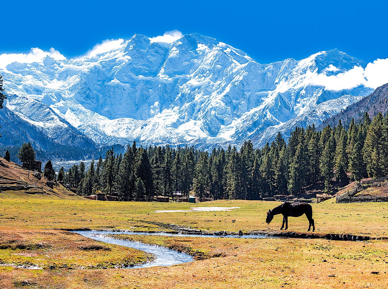 1280px-Fairy_Meadows_and_the_view_of_Nanga_Parbat.jpg