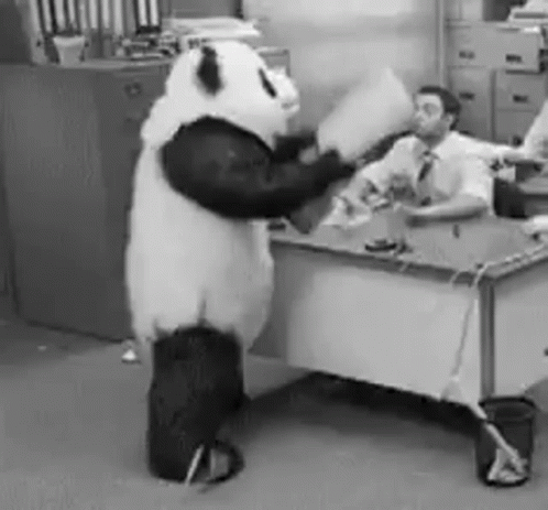 byuntear-urso-panda.gif