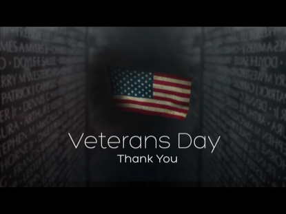 veteransdaythankyou.jpg