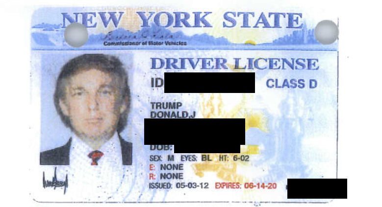 trump-license-screenshot.jpg