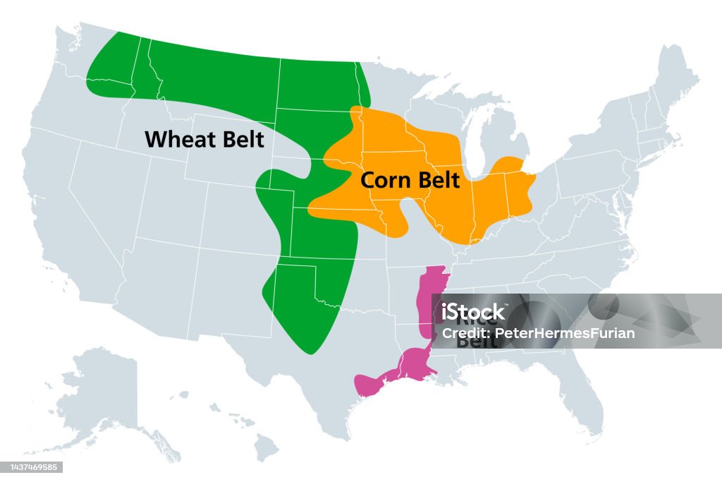 corn-belt-wheat-belt-and-rice-belt-of-the-united-states-political-map.jpg