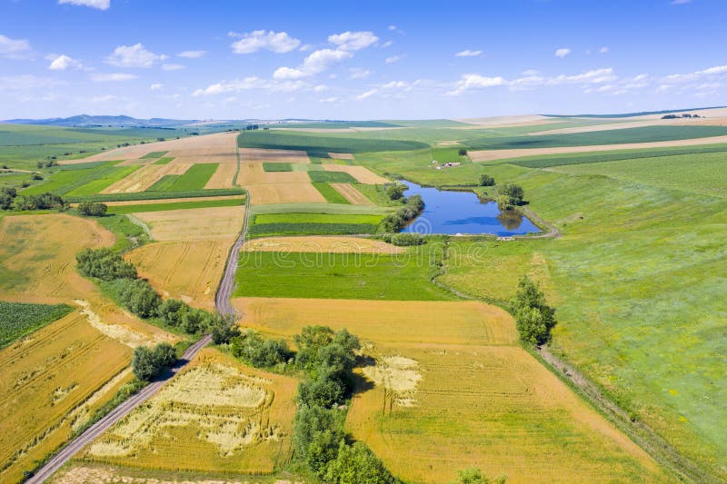 rural-farm-scene-above-summer-landscape-aerial-sunny-day-189552576.jpg