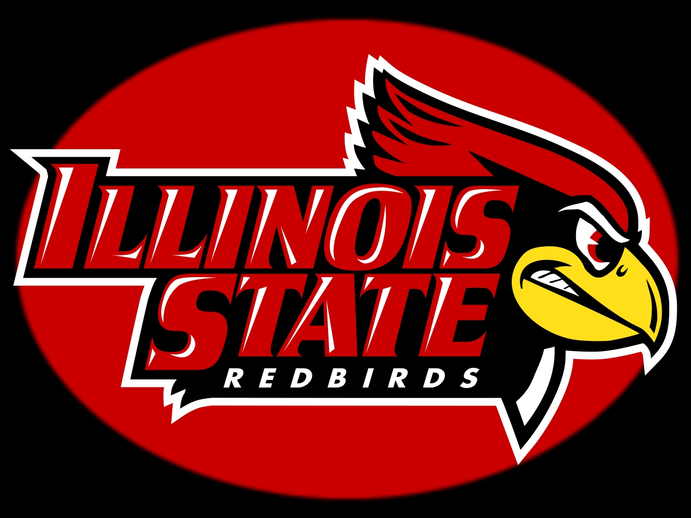 IllinoisStateRedbirds01.jpg