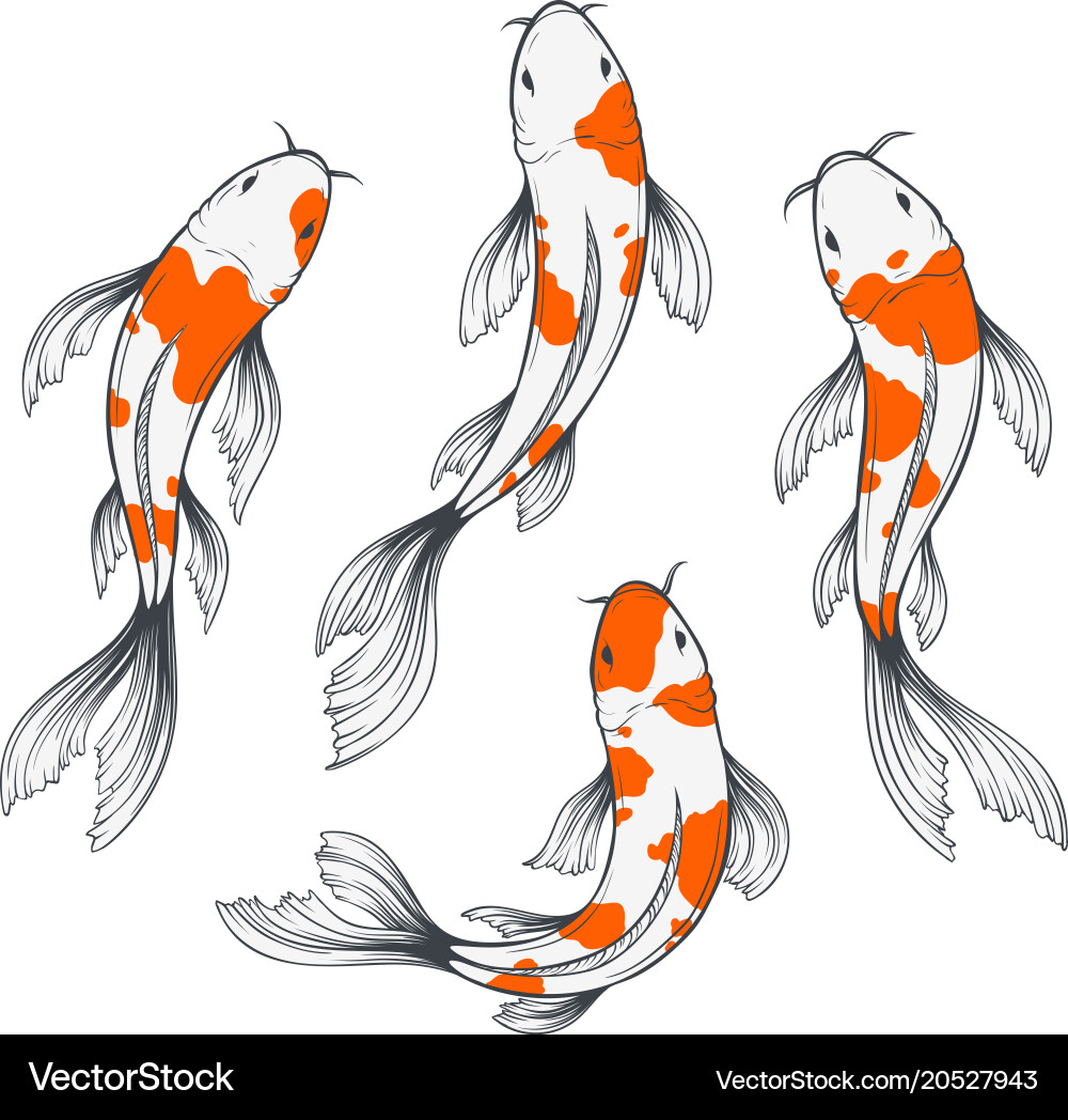 koi-fish-set-vector-20527943.jpg