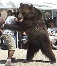 Bear+Wrestling.jpg