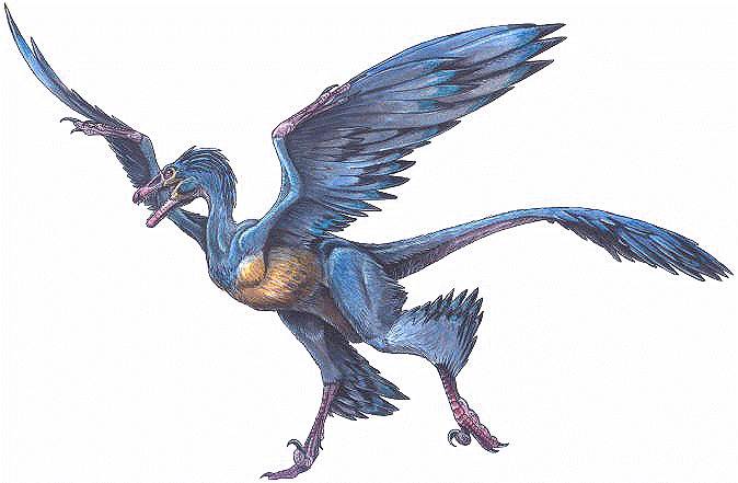 microraptor_gui.gif