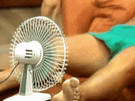 Fan Heatwave GIF by MOODMAN